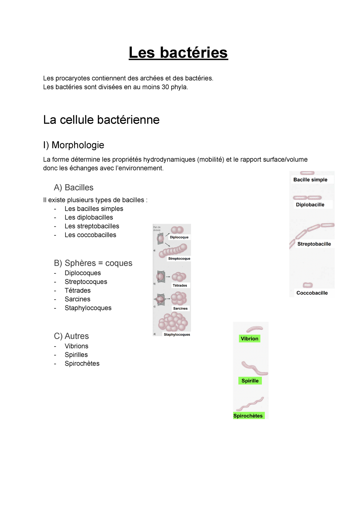 Microbiologie Générale 1 2B2M S3 Les Bactéries - Les Bactéries Les ...