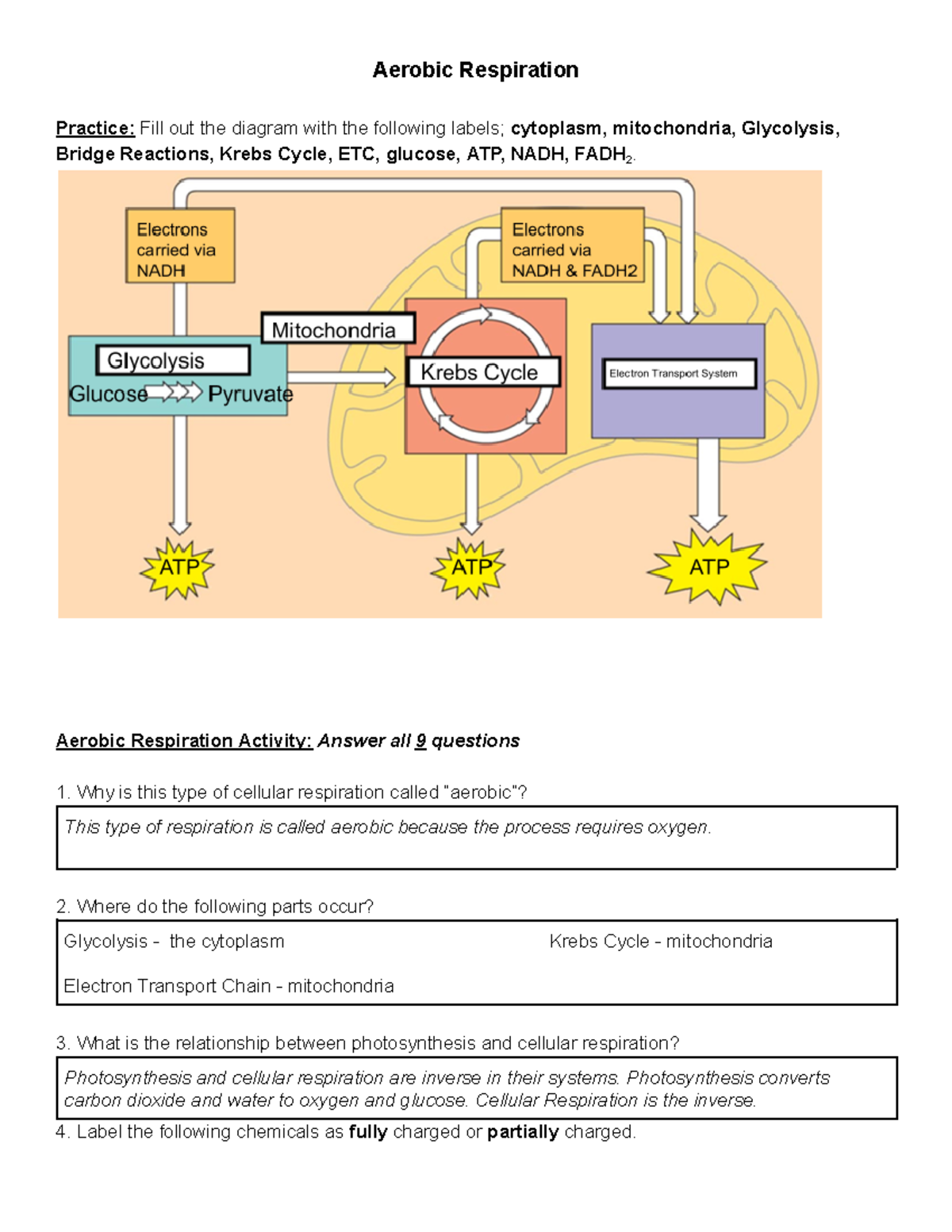 3-6 Aerobic Respiration Activity - Aerobic Respiration Practice: Fill ...