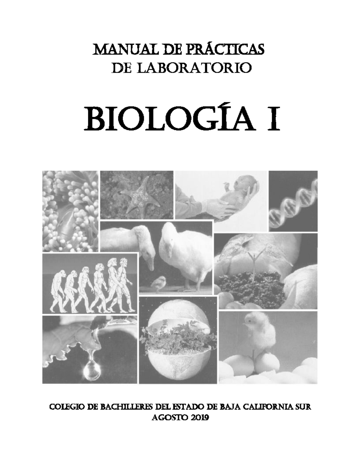 Manual De Practicas De Laboratorio Biologia I - MANUAL DE PR¡CTICAS DE ...