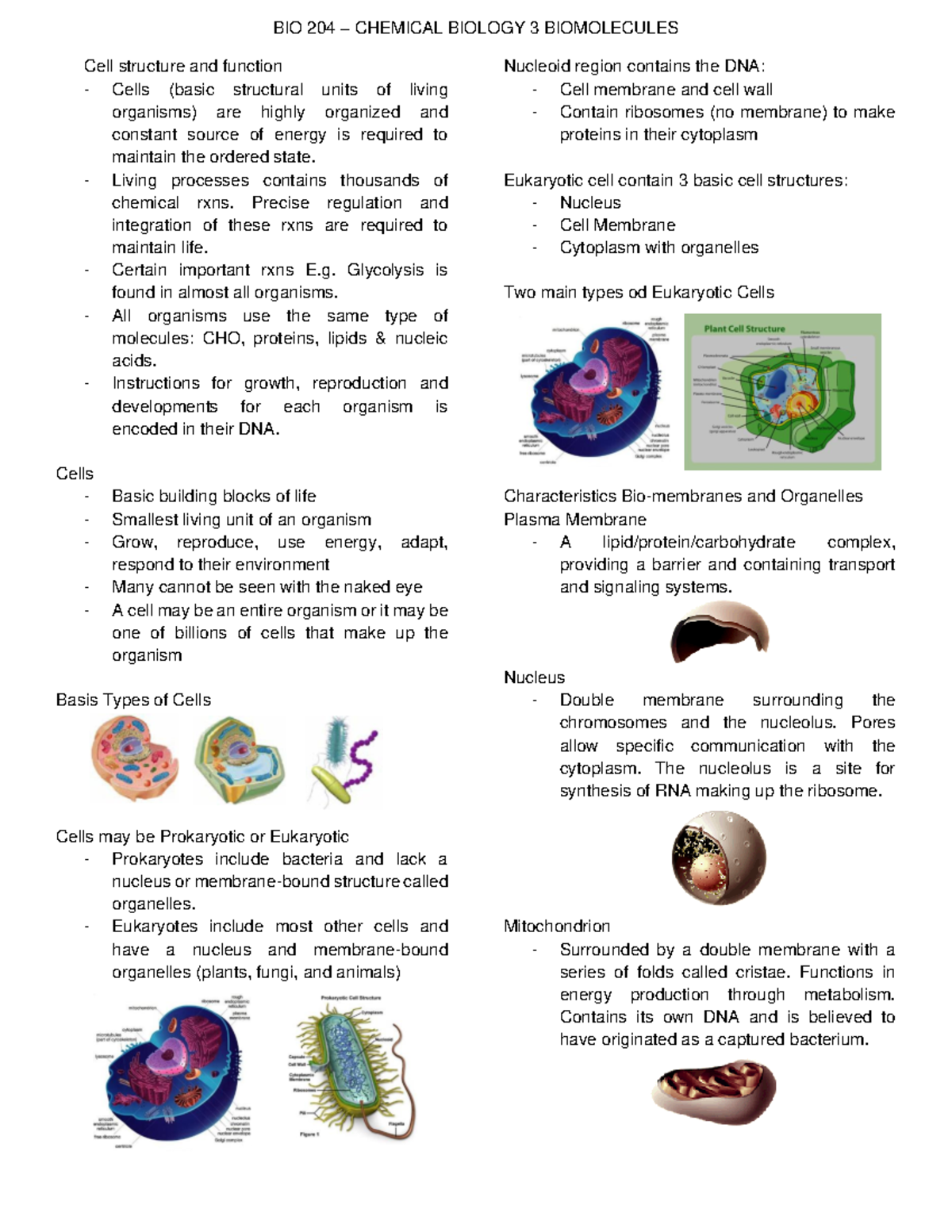 Chemmm - BIO 204 – CHEMICAL BIOLOGY 3 BIOMOLECULES Cell structure and ...