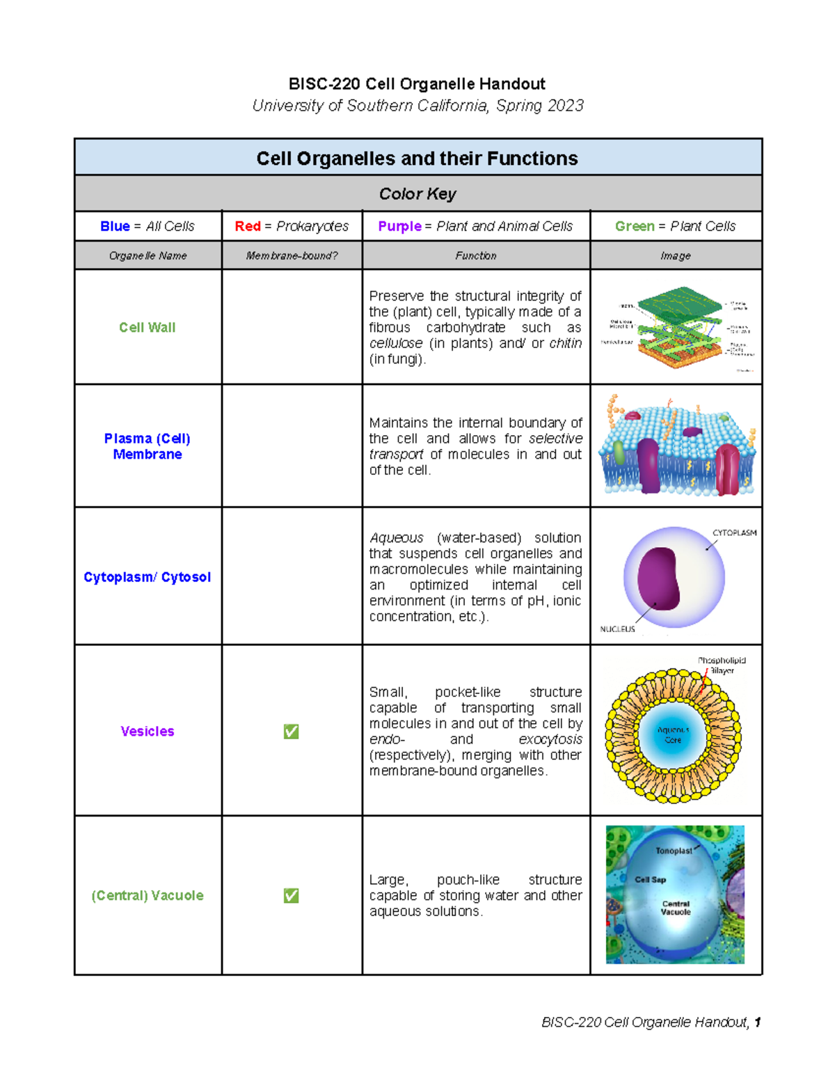 Cell Organelle Handout - BISC-220 Cell Organelle Handout University Of ...