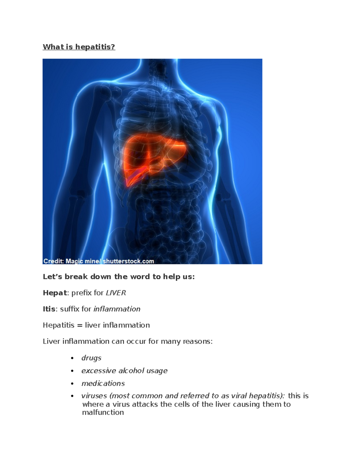 hepatobilary-system-notes-what-is-hepatitis-let-s-break-down-the