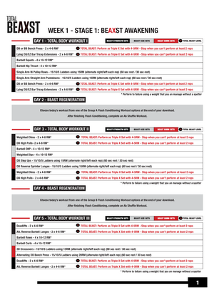 Workout Routine Athlean x WEEK 1 STAGE 1 BEAXST AWAKENING