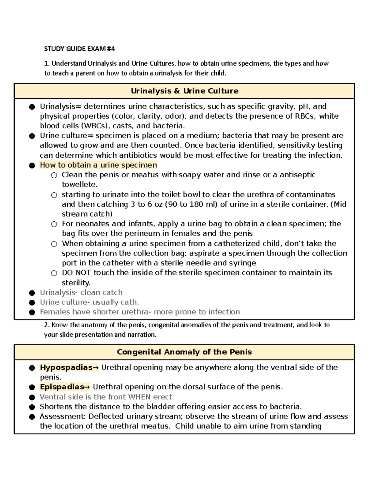 Study Guide EXAM #4 Pediatrics - STUDY GUIDE EXAM Understand Urinalysis ...