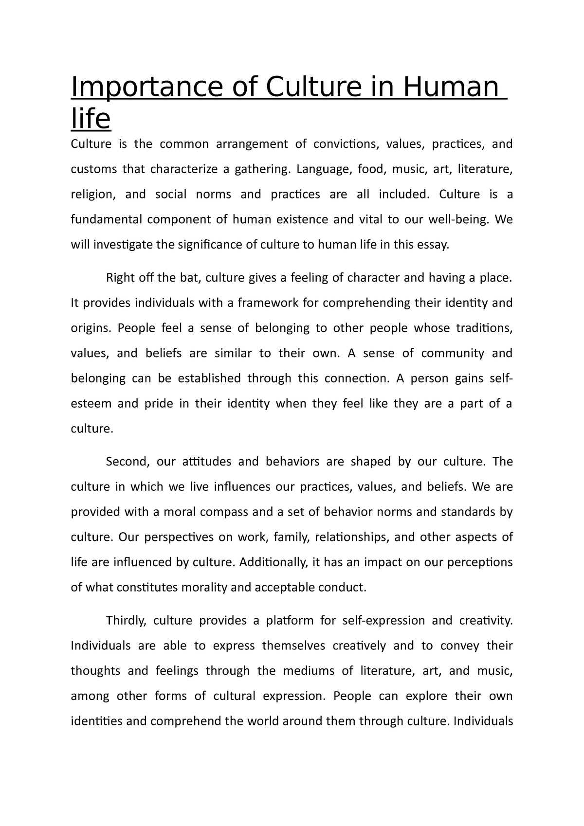 what is the importance of culture in human life essay