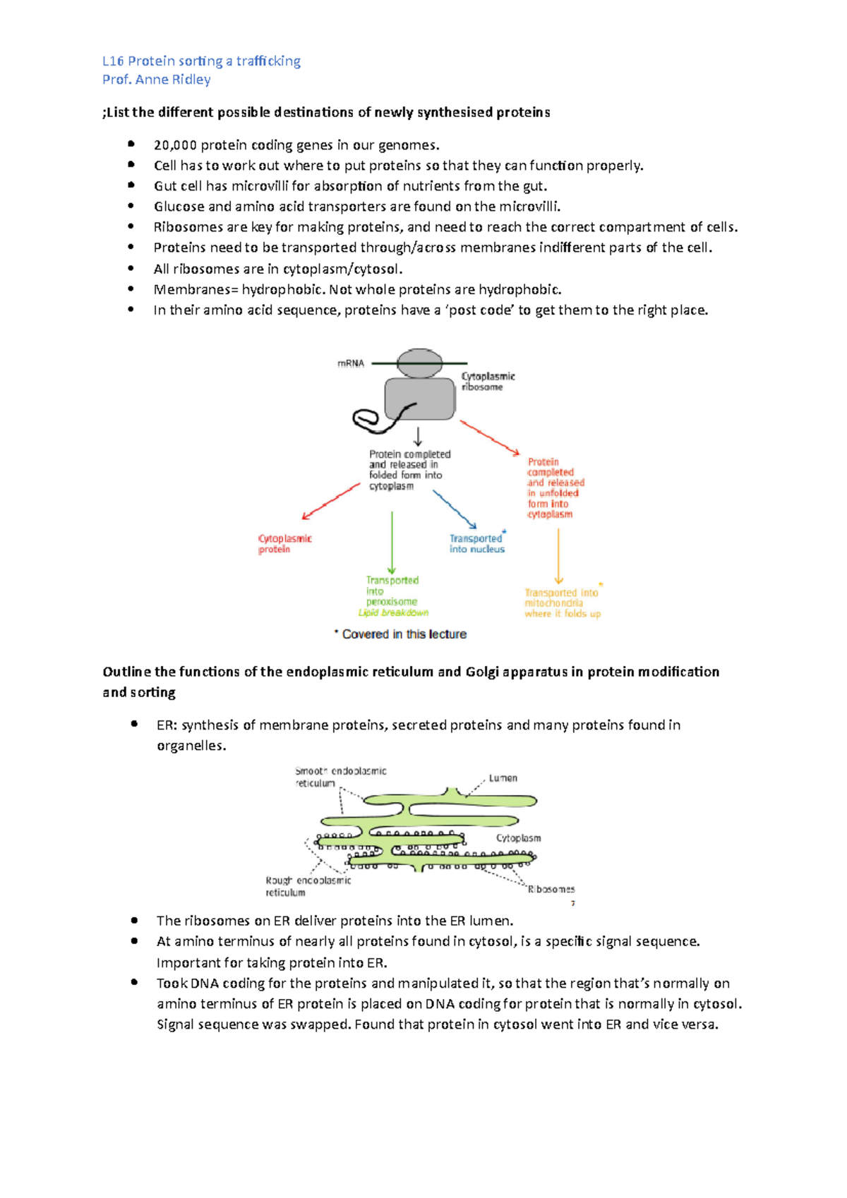 L16 Protein sorting and trafficking - Prof. Anne Ridley ;List the ...
