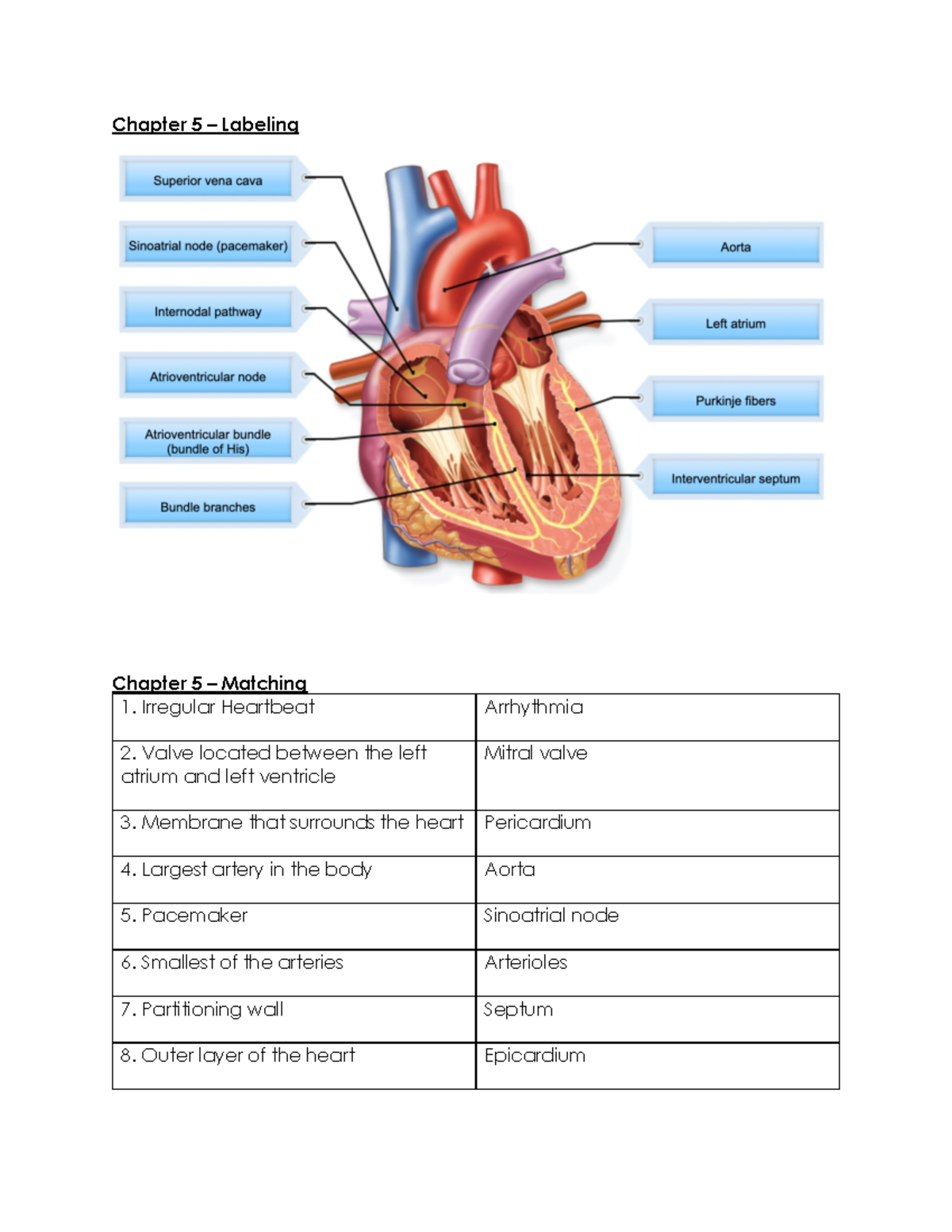 Chapter 5 - Summer Semester - Chapter 5 – Labeling Chapter 5 – Matching ...