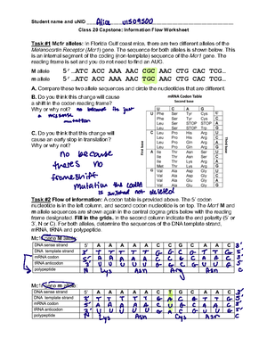 Class+24+Worksheet+S24 - Name: uNID Biol 1610 Class 2 4 Worksheet ...