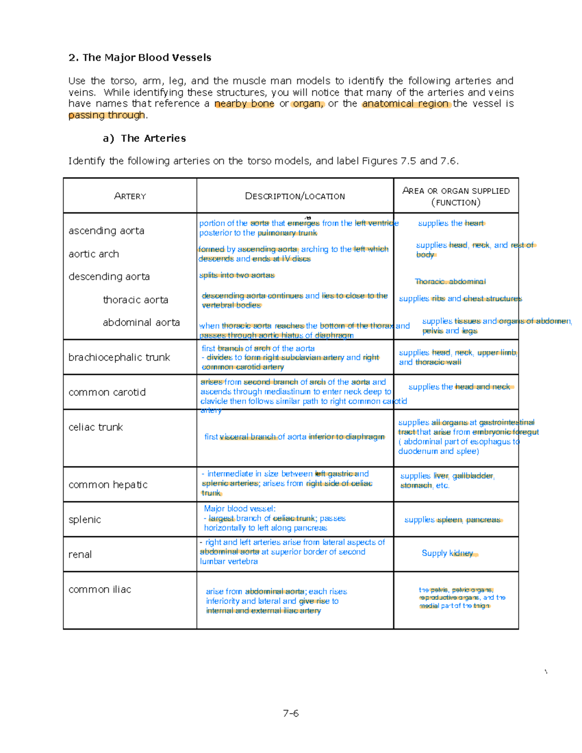 LAB 7 - CVS - Lab 7 - Answer key - 7- 2. The Major Blood Vessels Use ...