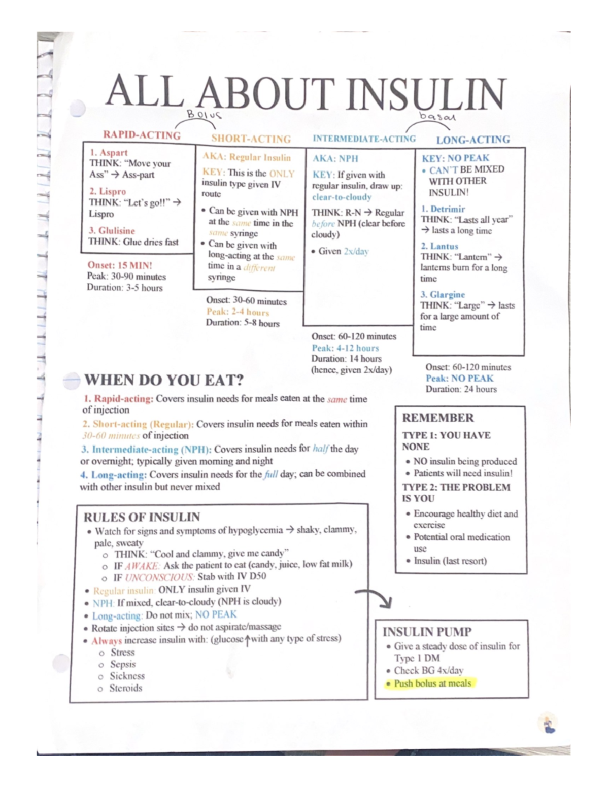 ALL About Insulin - NUR101 - Studocu