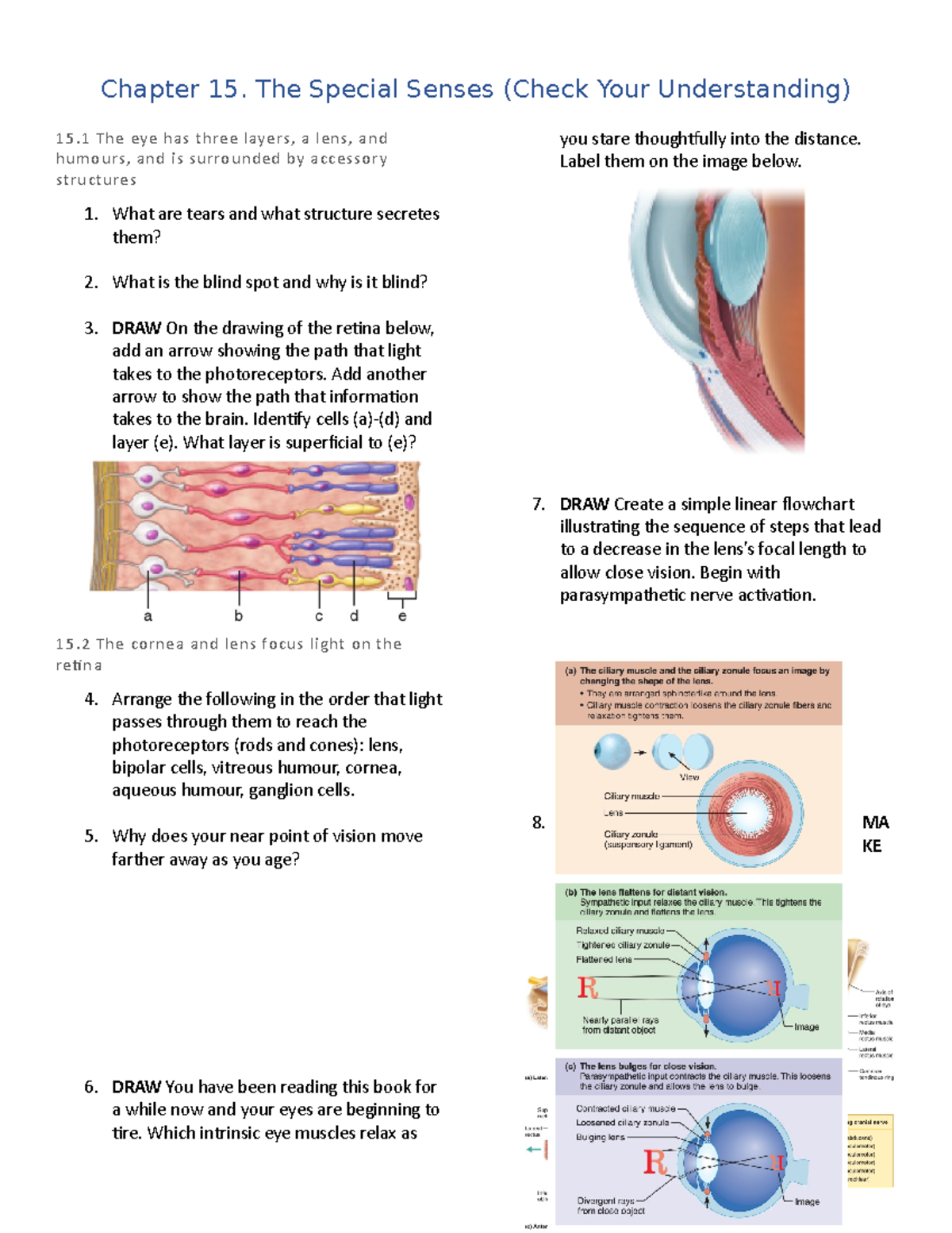 Chapter 15. (Check Your Understanding Questions) - Chapter 15. The ...