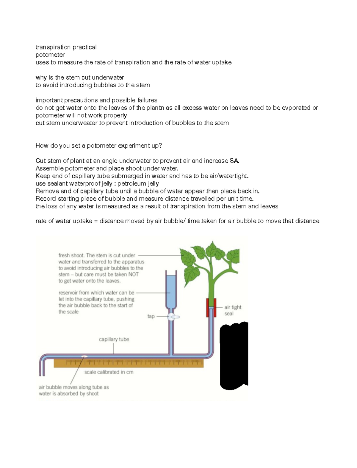 11 - notes - transpiration practical potometer uses to measure the rate ...