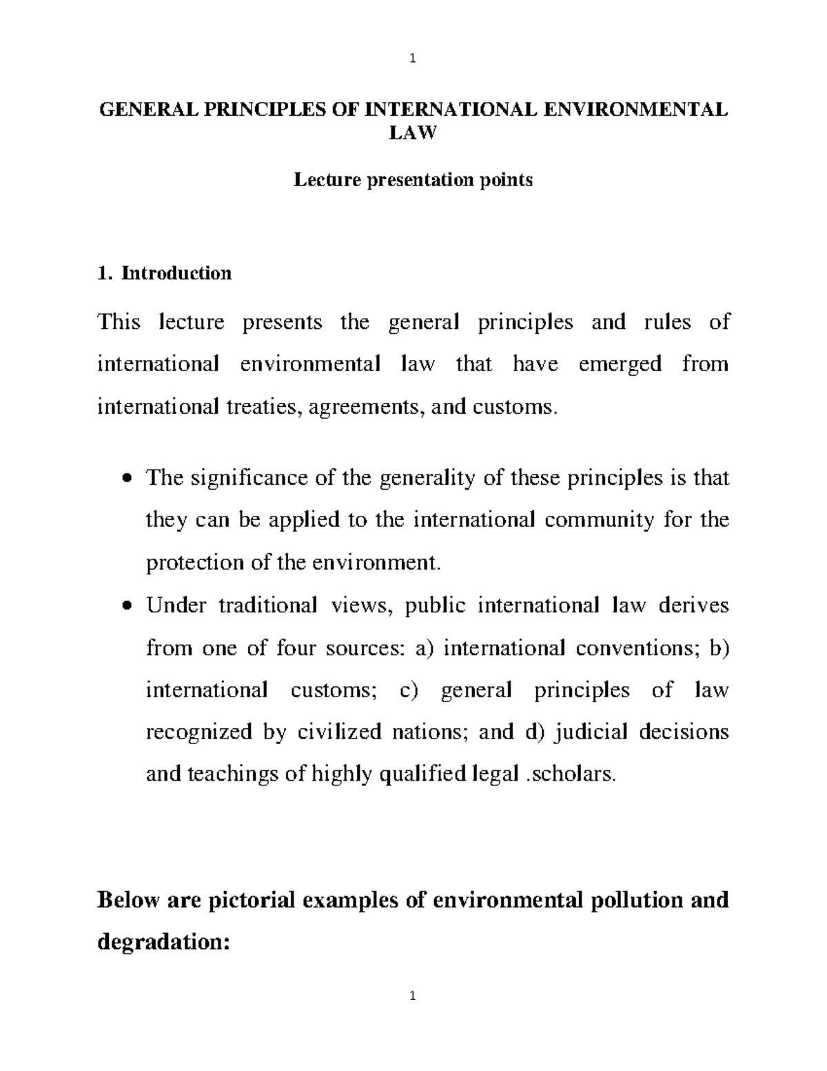 general-principles-of-international-environmental-law-b-2021