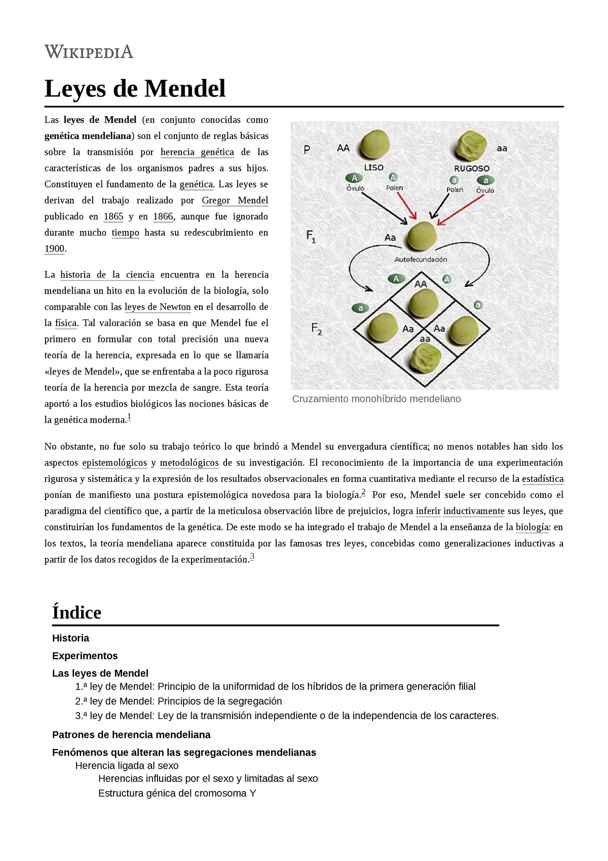 U1 Pp 29 Leyes De Mendel - Cool - Leyes De Mendel Las Leyes De Mendel ...