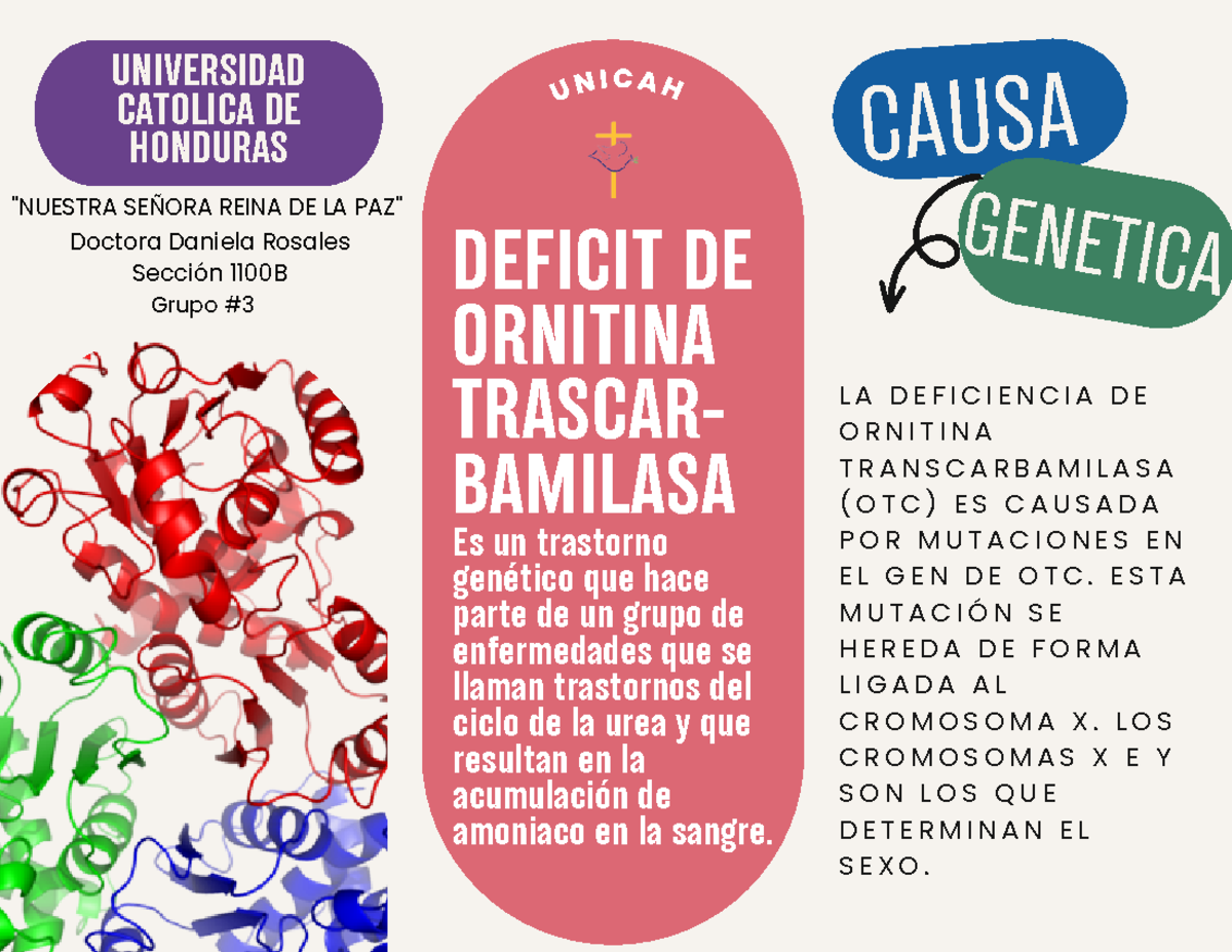 Trifolio Deficit DE OTC - CAUSA DEFICIT DE ORNITINA TRASCAR- BAMILASA