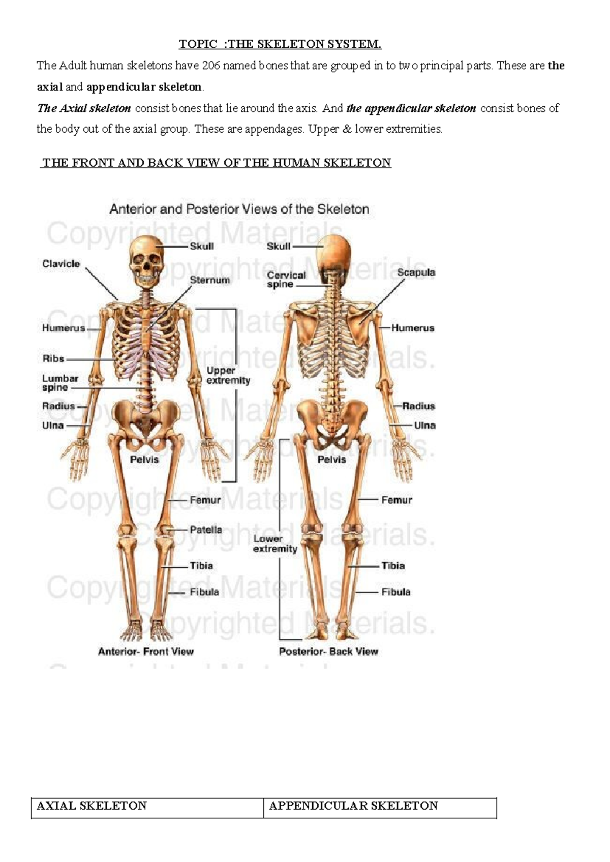 Topictwo-THE Skeletal System (CONT) - TOPIC :THE SKELETON SYSTEM. The ...