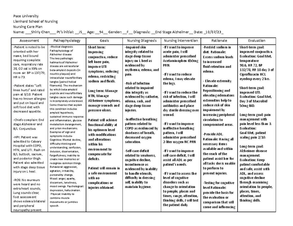 Care Plan - Care Plan - Pace University Lienhard School of Nursing ...
