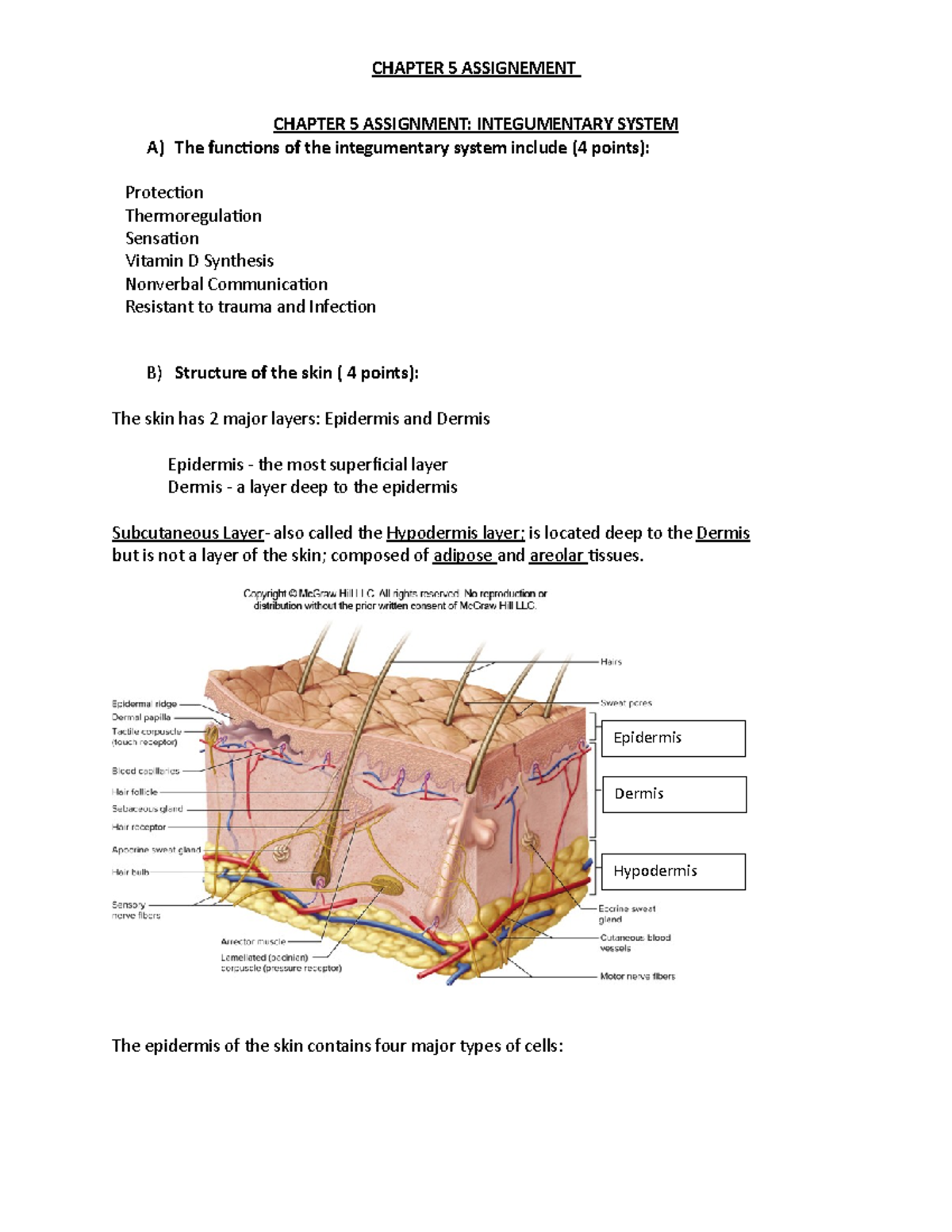 week 5 case study integumentary system