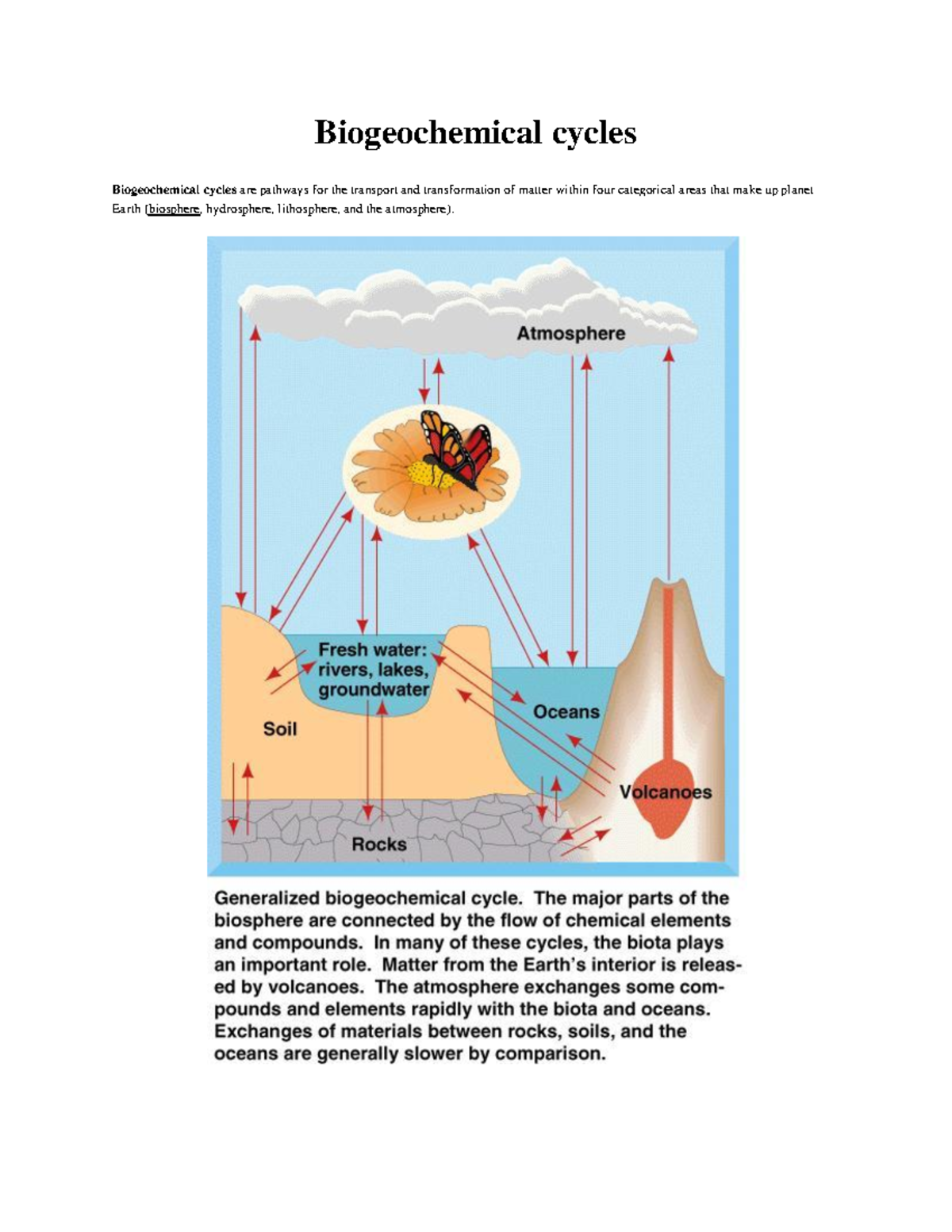 Biogeochemical Cycles - Biogeochemical Cycles Biogeochemical Cycles Are ...