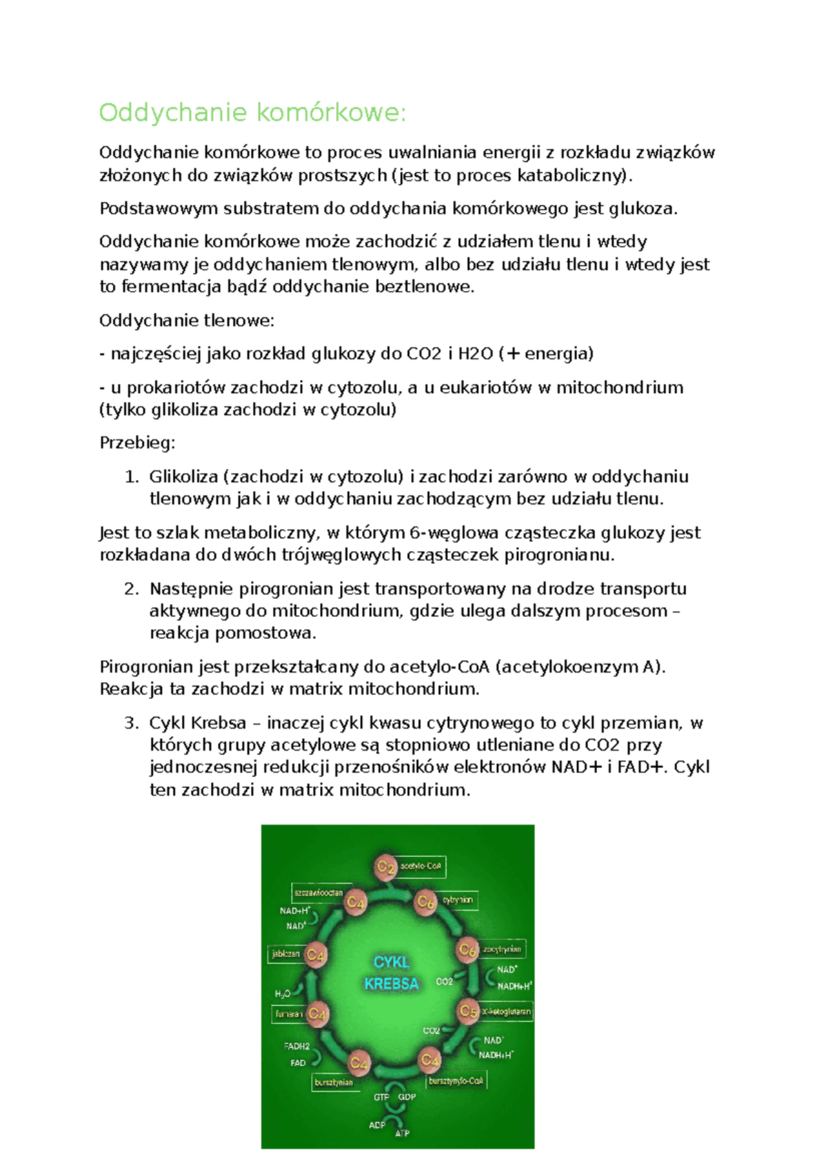 Oddychanie komórkowe - Oddychanie komórkowe: Oddychanie komórkowe to