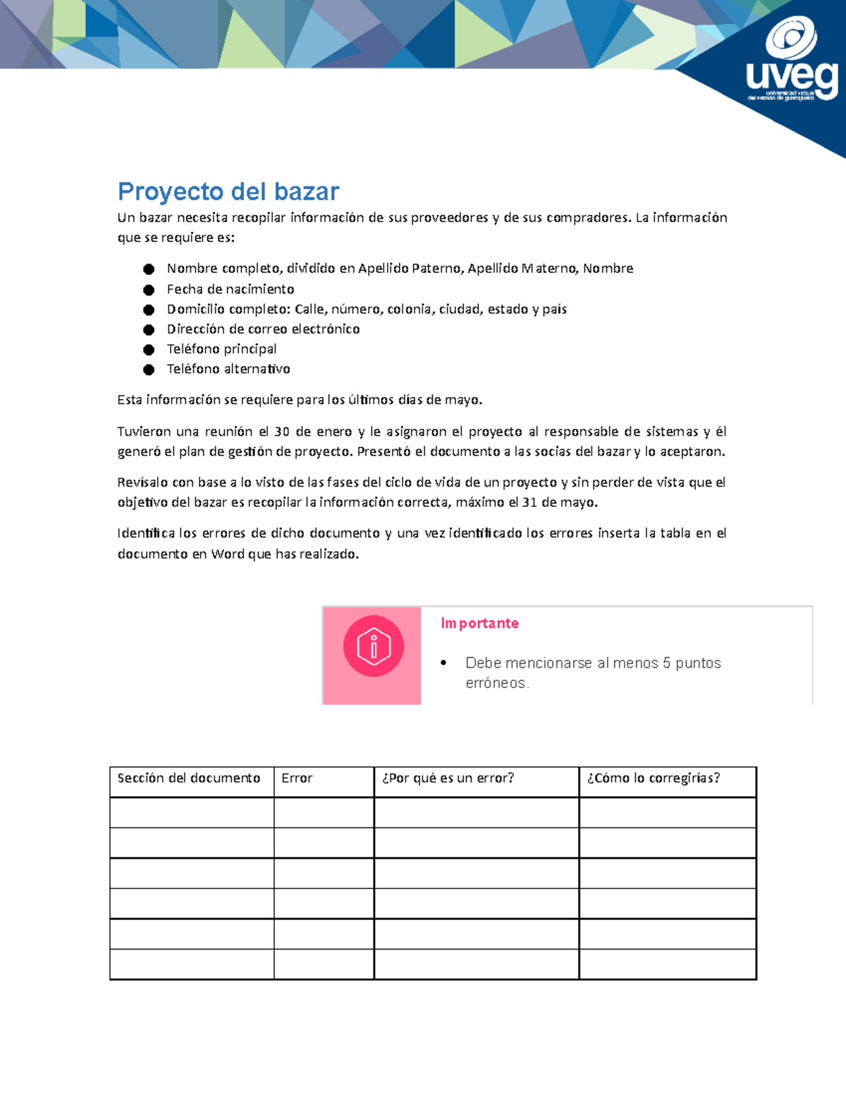 Caso Del Proyecto Del Bazar Proyecto Del Bazar Un Bazar Necesita