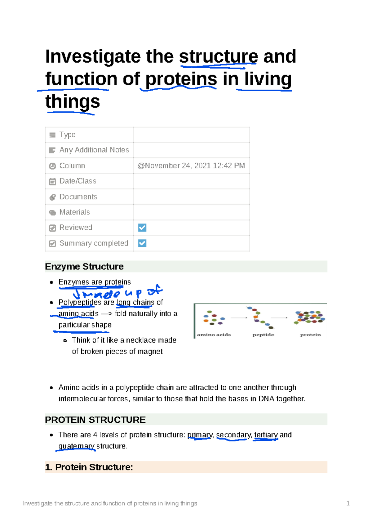 investigate-the-structure-and-function-of-proteins-in-living-things
