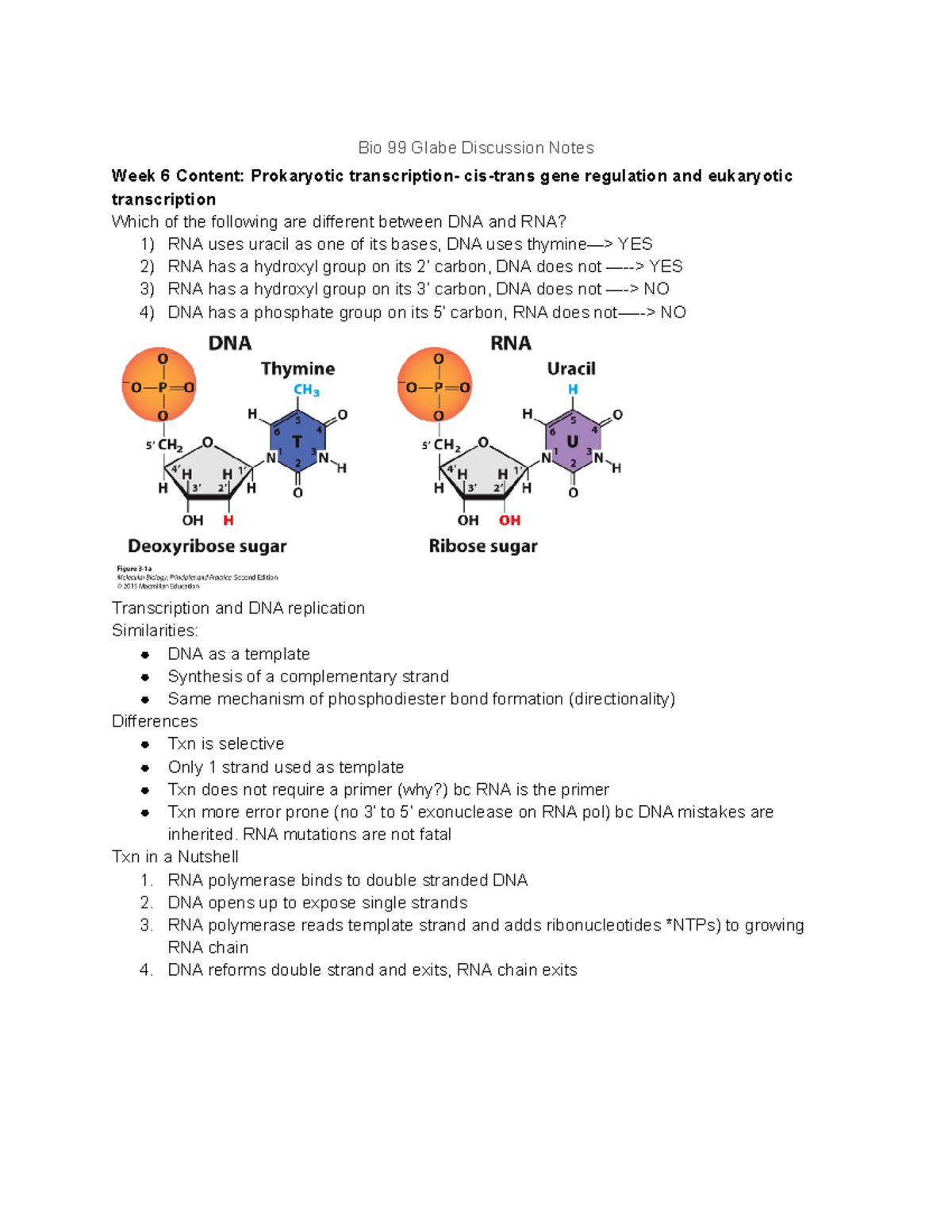 Bio 99 Glabe Discussion Notes - Bio 99 Glabe Discussion Notes Week 6 ...