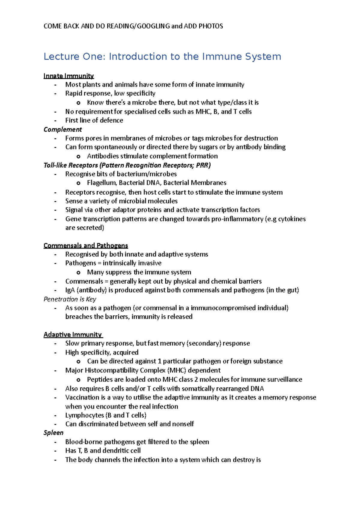 Essay plan template picture