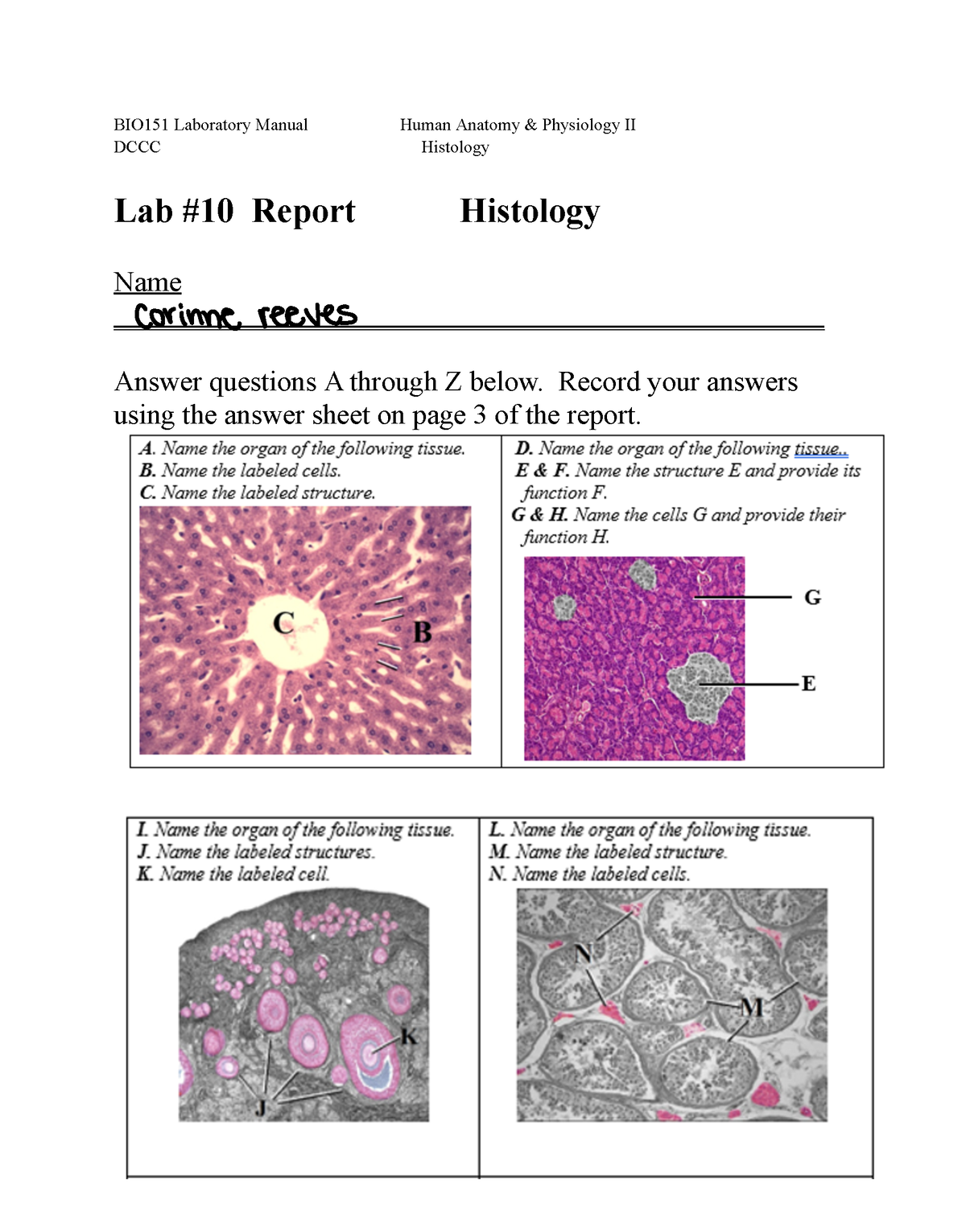 BIO151+Lab+%2310+Report - BIO151 Laboratory Manual Human Anatomy ...