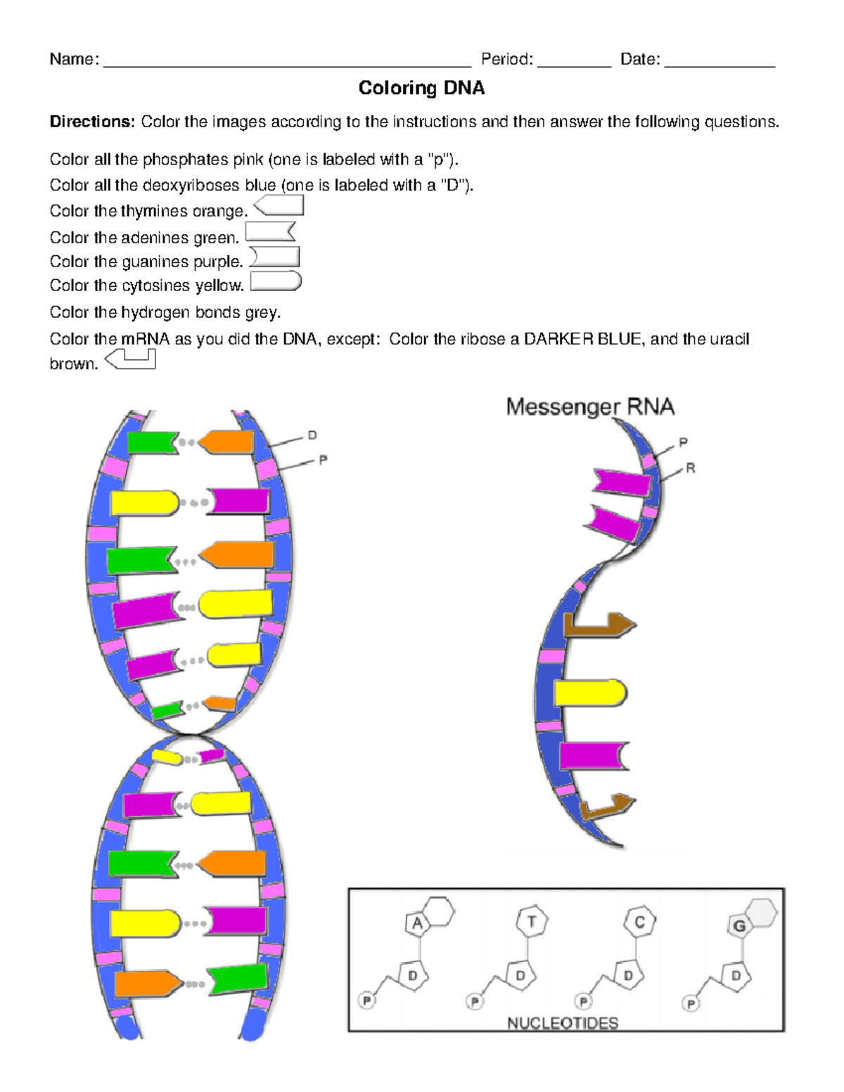 Dna Coloring Coloring And Coloring Pages Color Worksh - vrogue.co