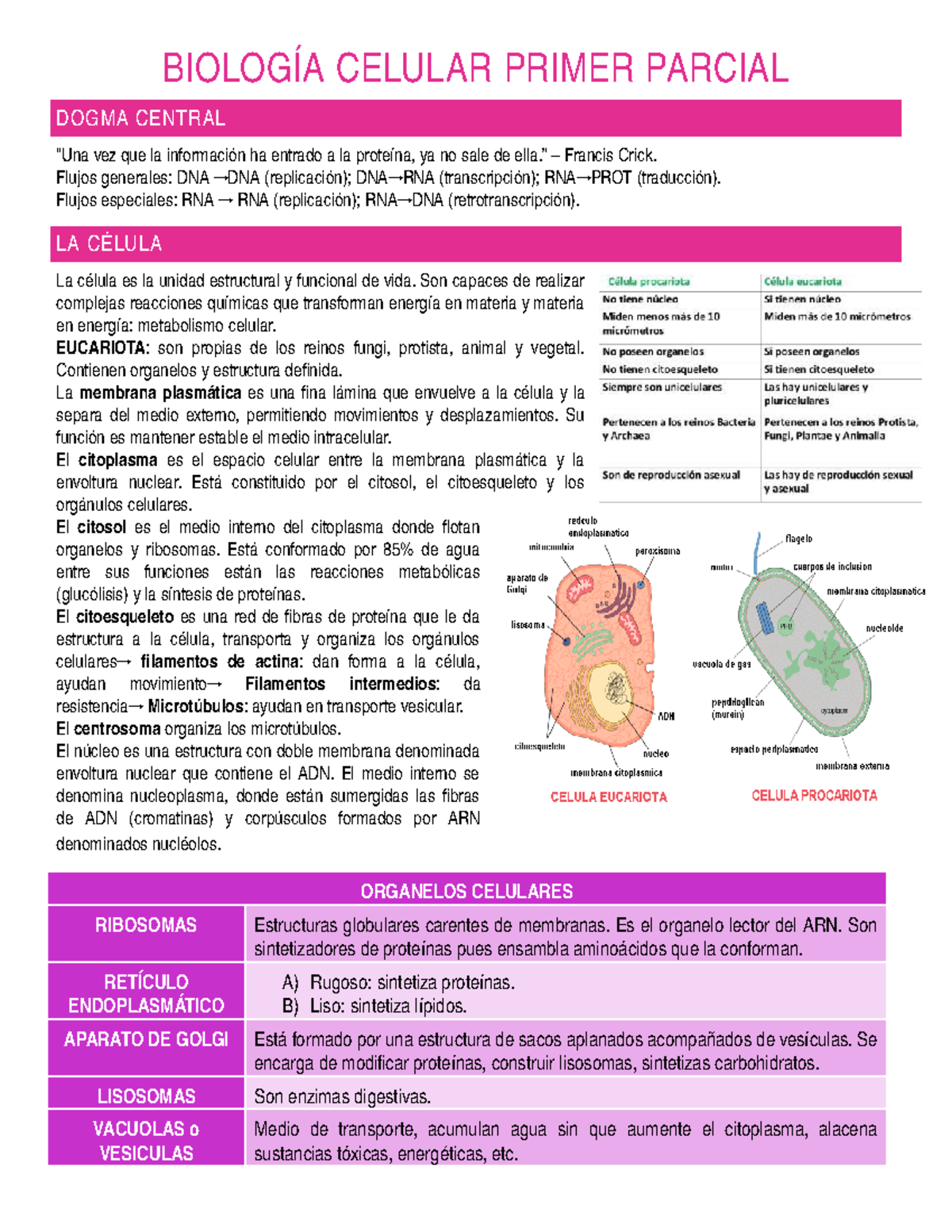 Biología Celular Primer Parcial 1 - BIOLOGÍA CELULAR PRIMER PARCIAL ...