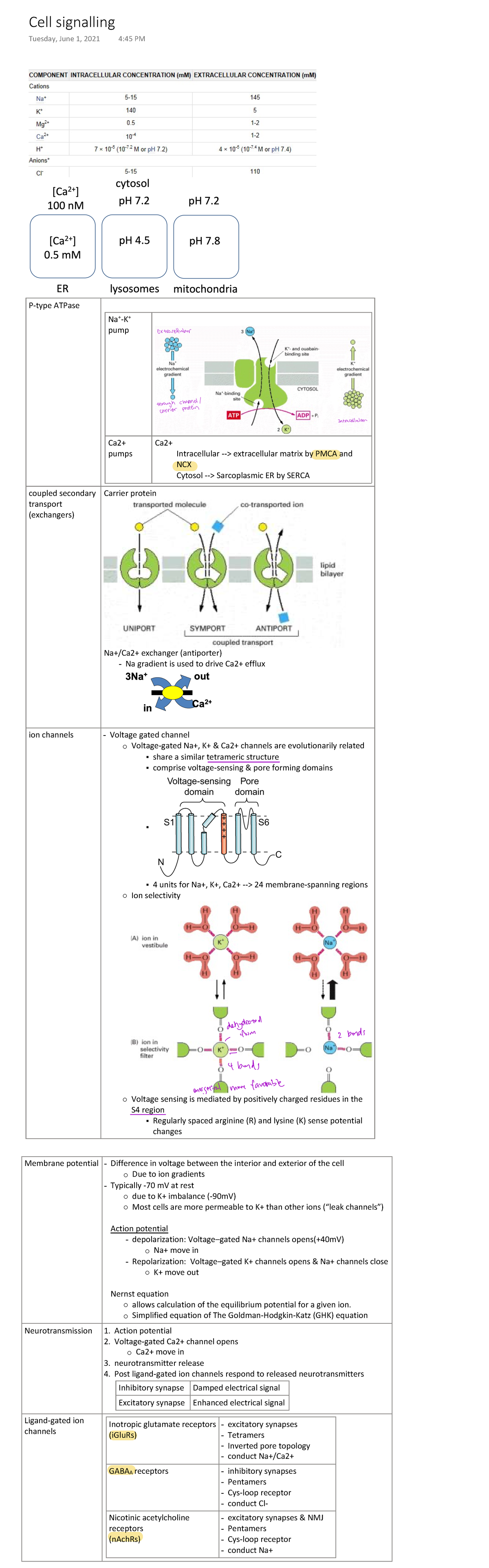 Signaling - note - P-type ATPase Na -K pump Ca2+ pumps Ca2 ...