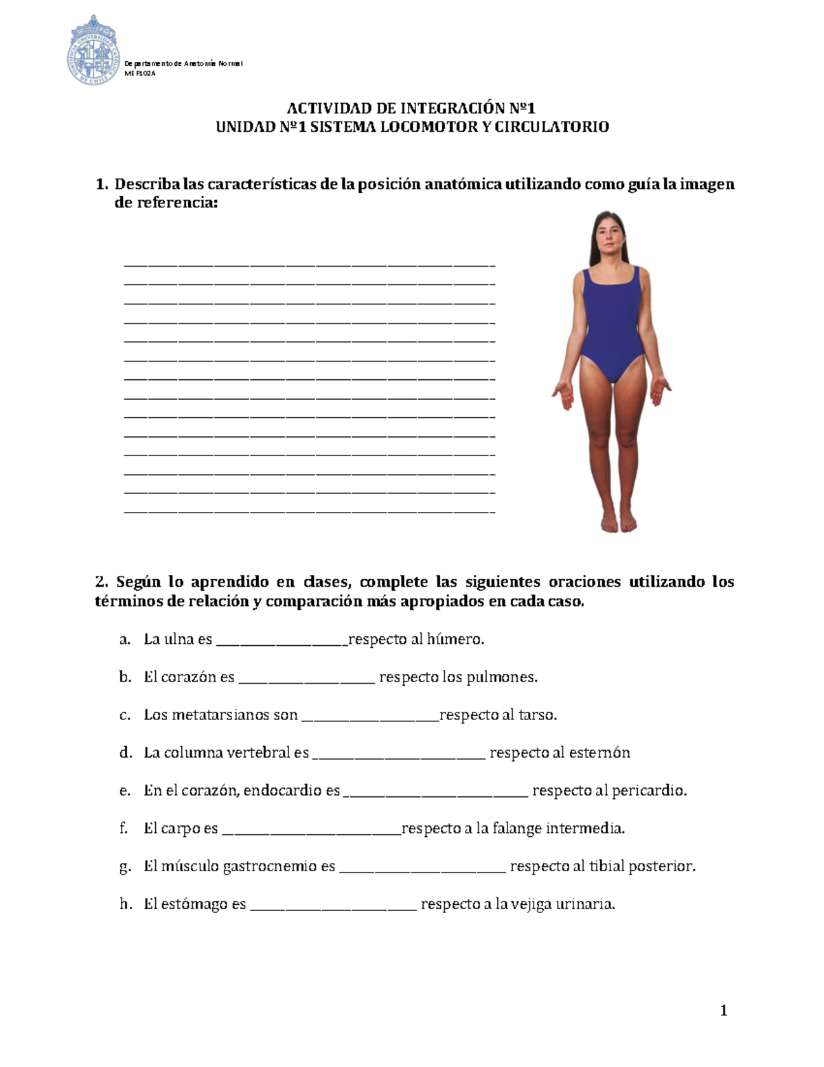 Actividad+de+Integracio%CC%81n+N%C2%BA1 - MEF102A ACTIVIDAD DE ...