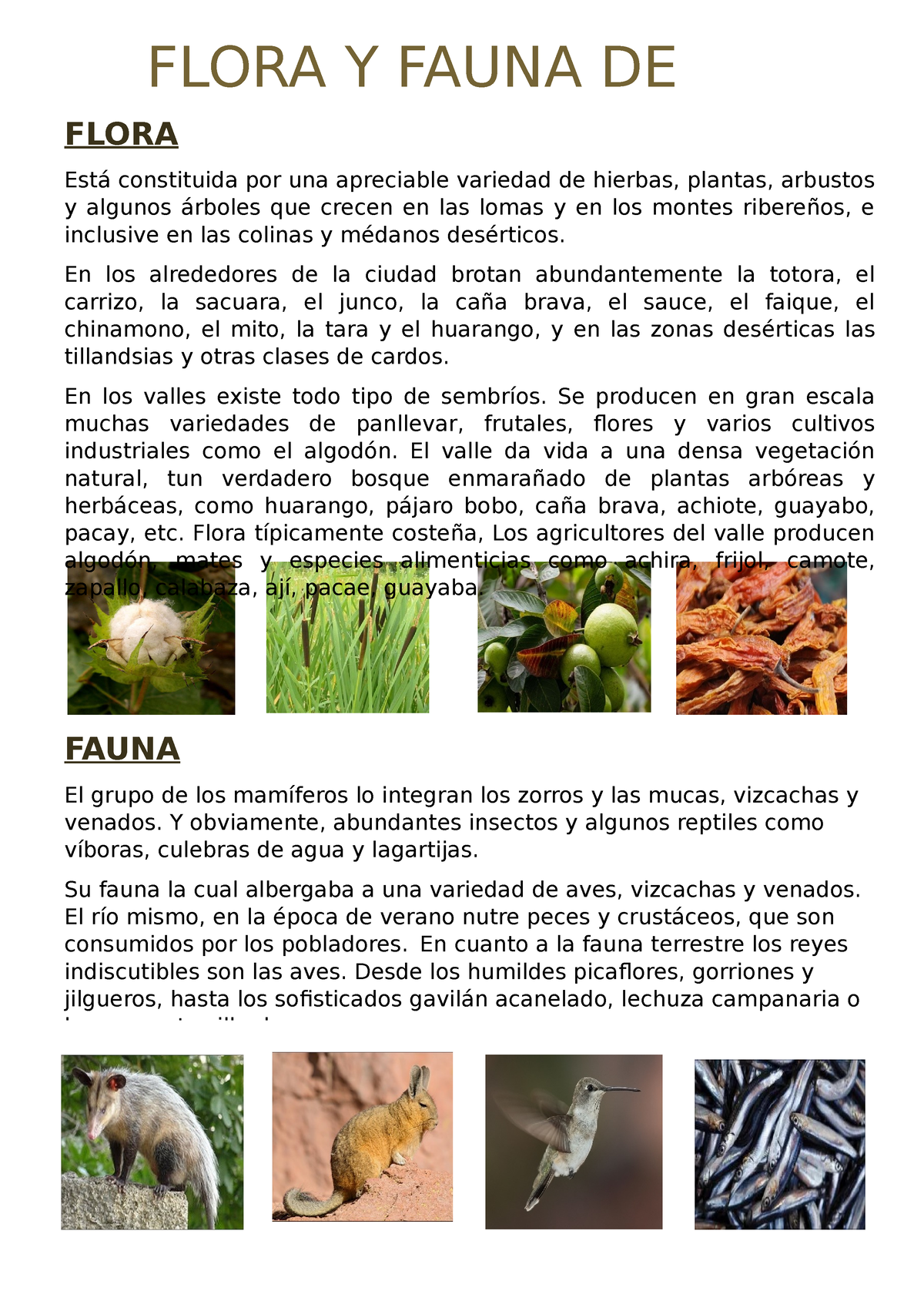 La Flora Y Fauna De Caral Biologia Flora Y Fauna De Fauna El Grupo De Los Mamíferos Lo 0315