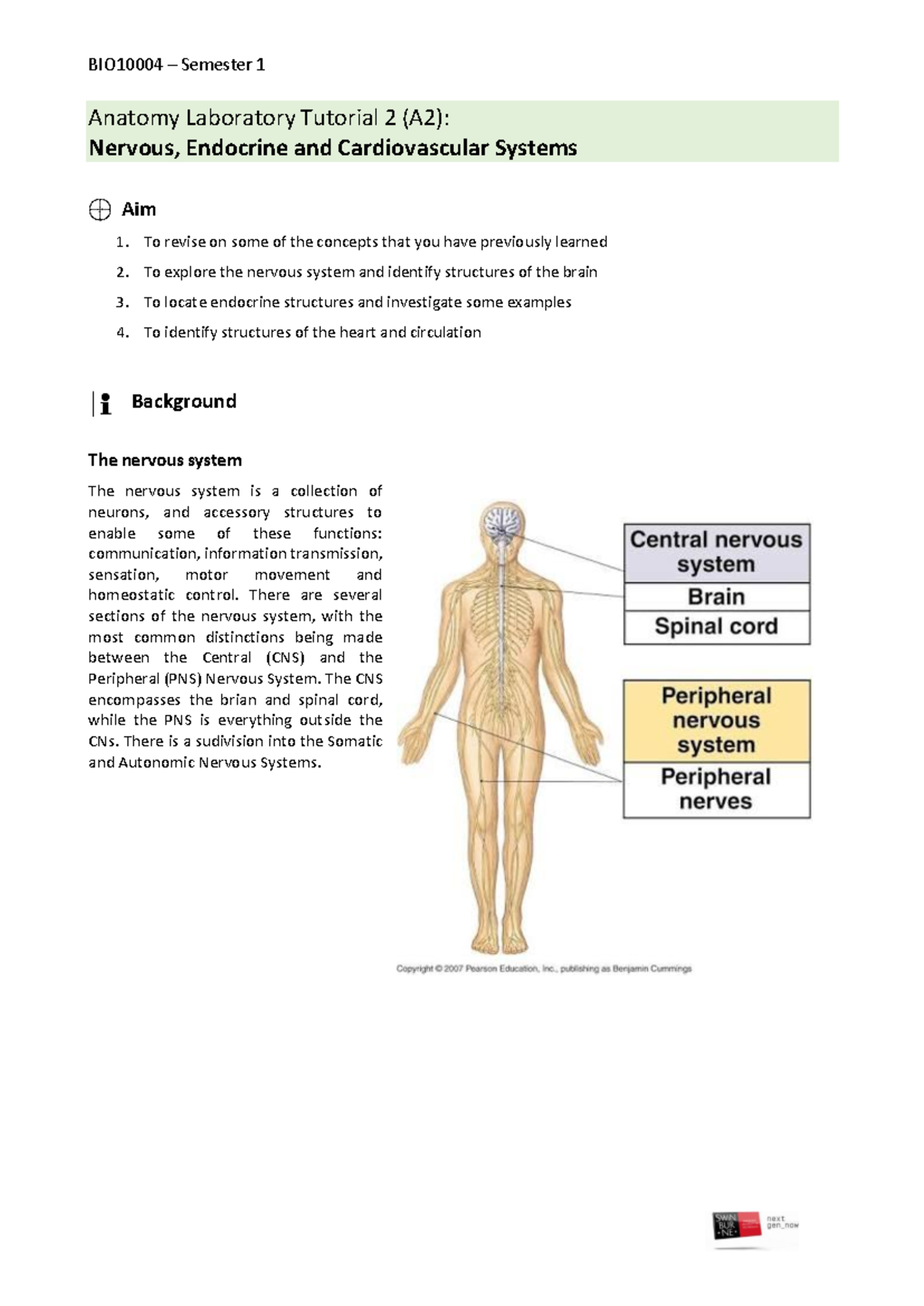 Anatomy 2nd 1 - it is one file - BIO10004 – Semester 1 Aim 1. To revise ...