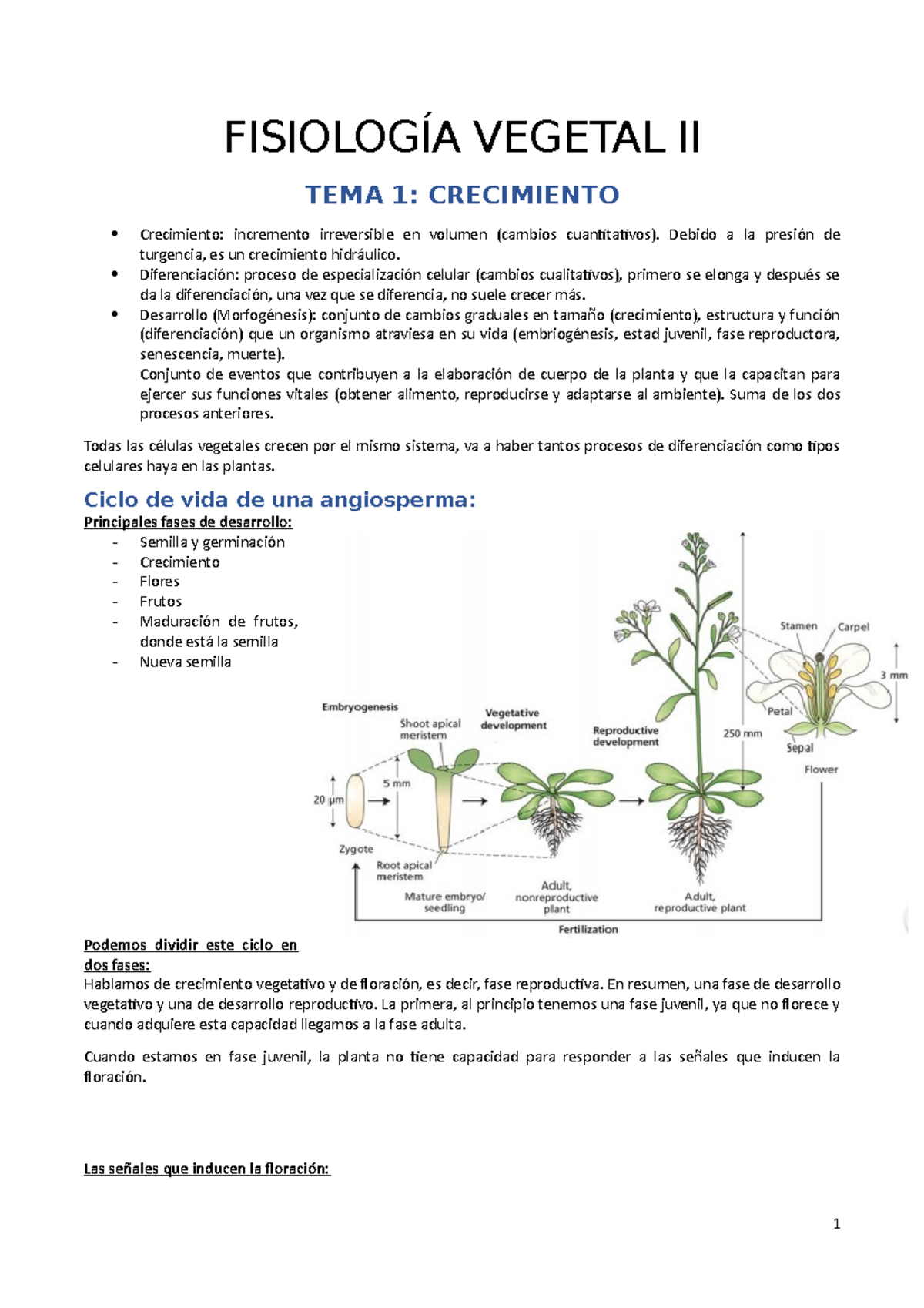 Fisiología Vegetal II - Apuntes Todos - FISIOLOGÍA VEGETAL II TEMA 1 ...