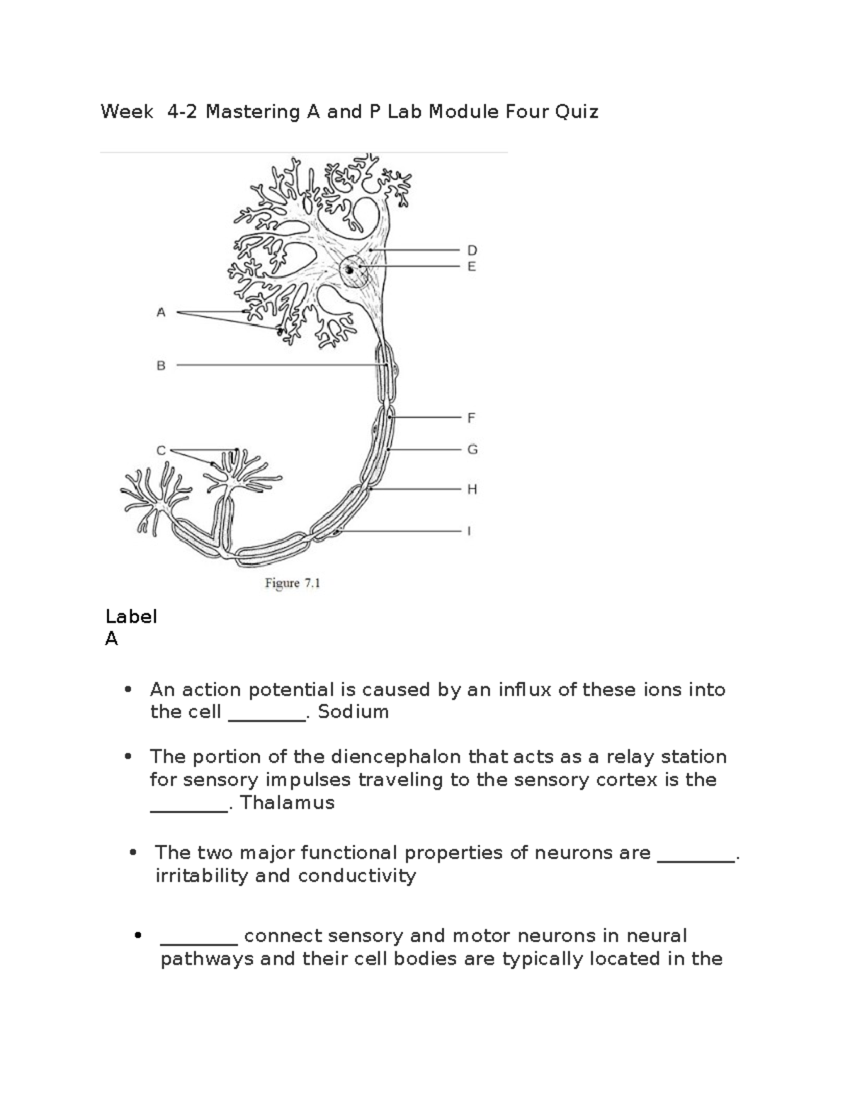 Week 4-2 Mastering A And P Lab Module Four Quiz - Week 4-2 Mastering A ...