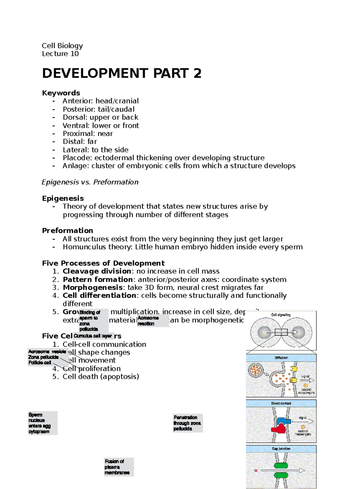 10 - Cell Biology - Lecturer: Wayne Year 1 Biomedical Sciences - Cell ...