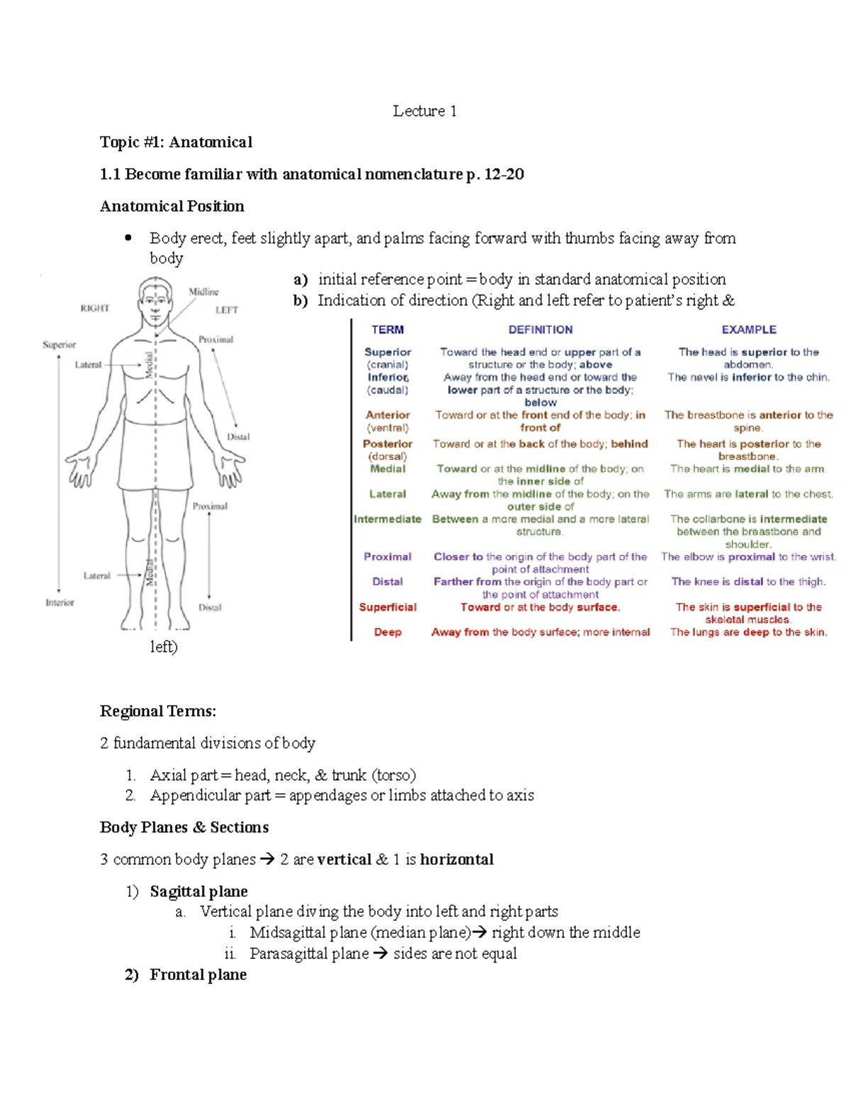 Lecture 2 Notes - Lecture 1 Topic #1: Anatomical 1 Become familiar with ...