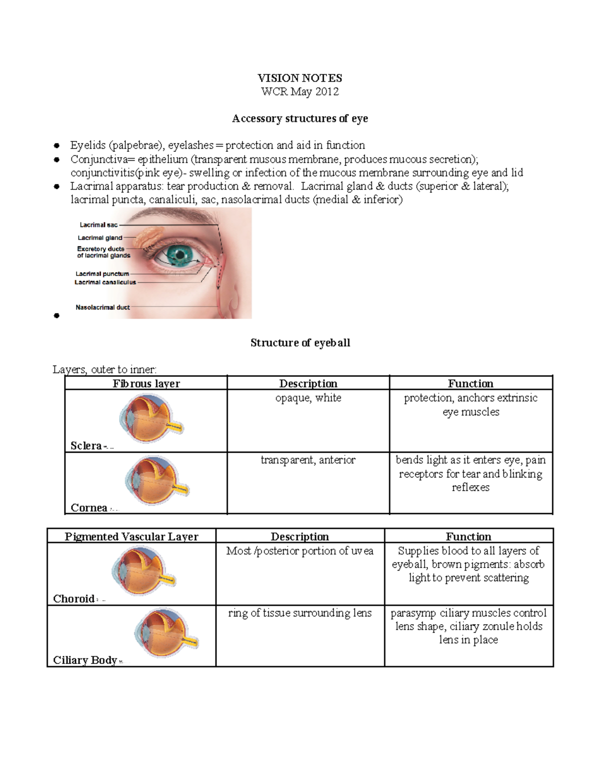 KAAP309Rose Vision notes - VISION NOTES WCR May 2012 Accessory ...