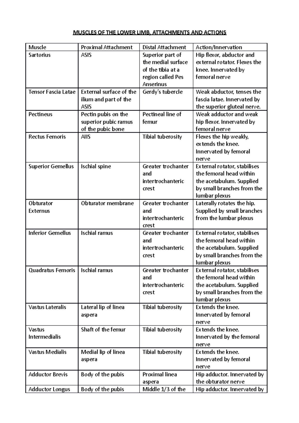 muscles-of-the-lower-limb-attachments-and-actions-muscles-of-the