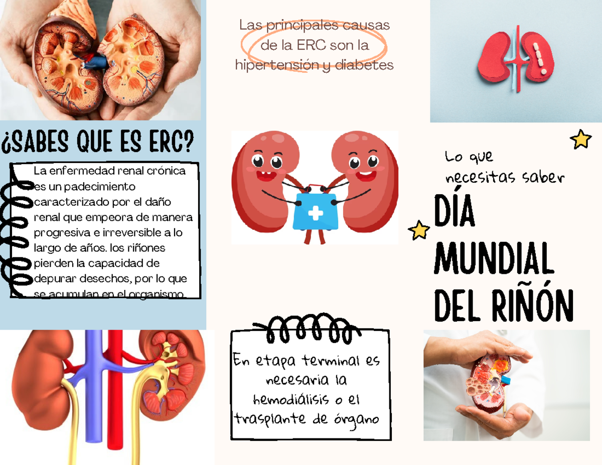 Triptico - dia mundial del riñon - En etapa terminal es necesaria la ...