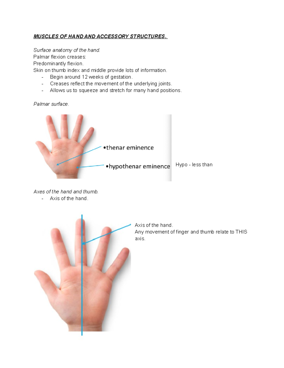Muscles OF HAND AND Accessory Structures MUSCLES OF HAND AND