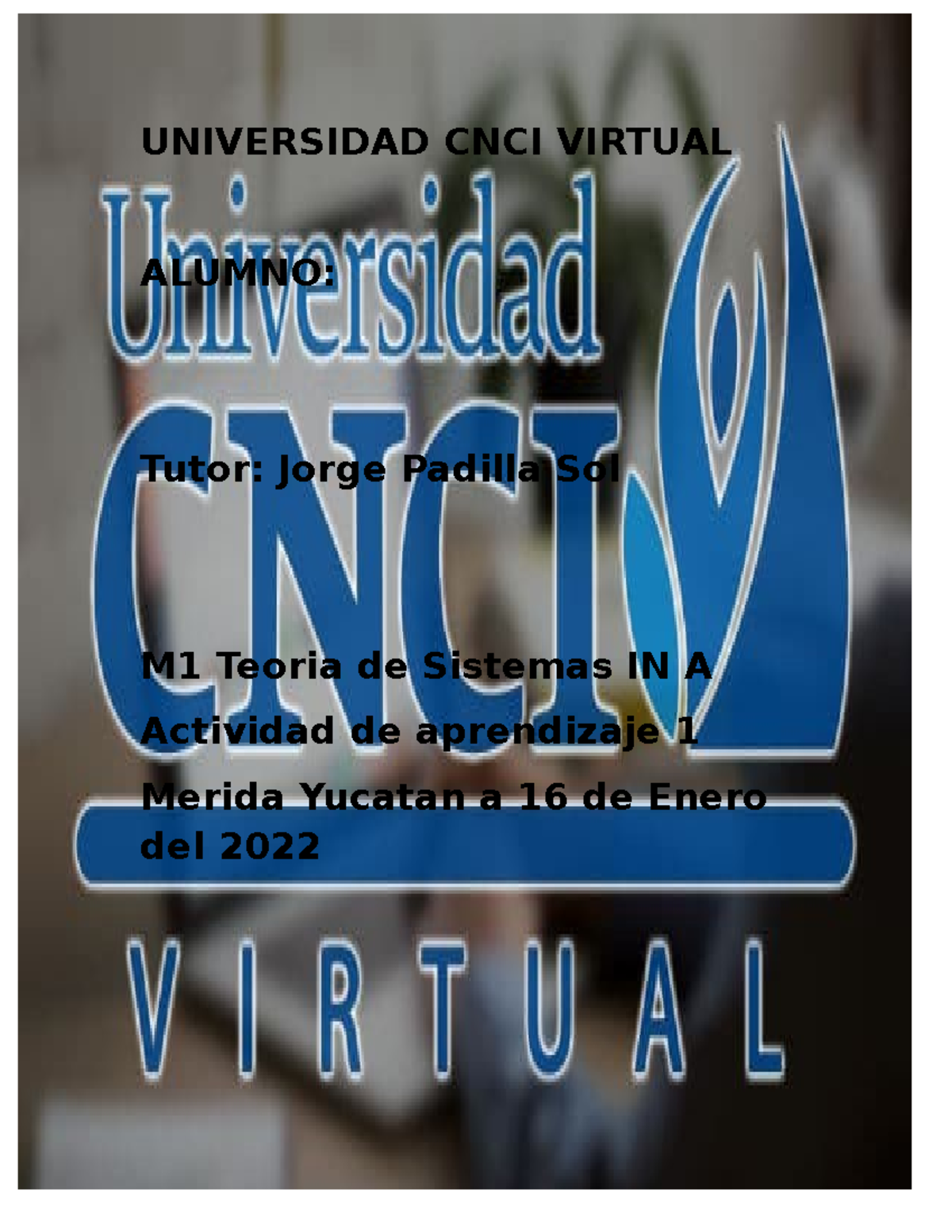 M1 Teoria De Sistemas I IN A Actividad 1 CNCI - UNIVERSIDAD CNCI ...