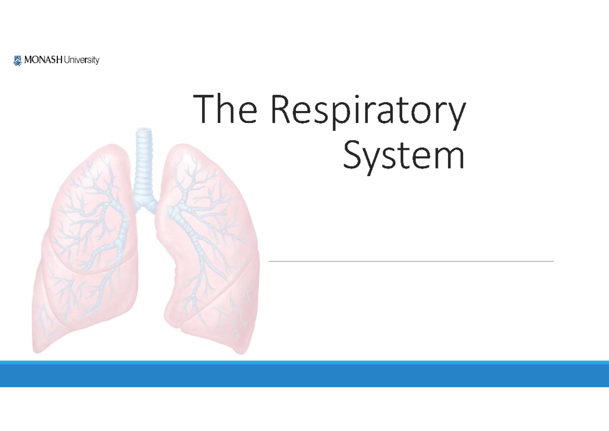 Week 10 Bioscience - NUR1112 Notes For 2021 S1 - The Respiratory System ...