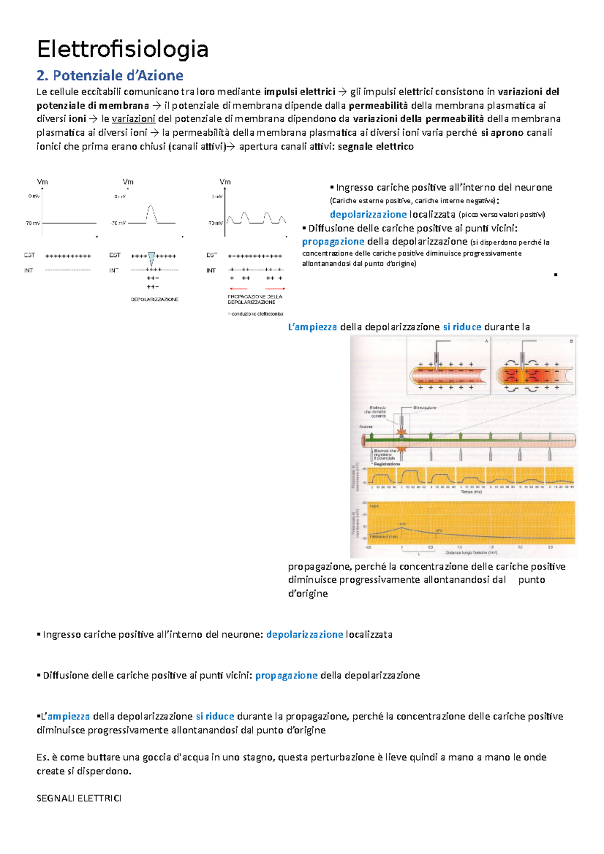 Potenziale D Azione Appunti Integrati Con Il Libro Elettrofisiologia Potenziale D