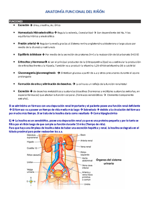 Lista Preguntas ORAL FISIO - PREGUNTAS ORAL: Reflejo Fotomotor Y ...