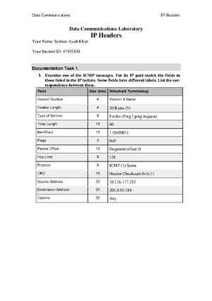 Practical - IP Headers - Documentation Template - Data Communications ...