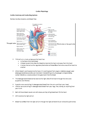 Assign 7 Muscles key - For questions 1-3, use the following information ...