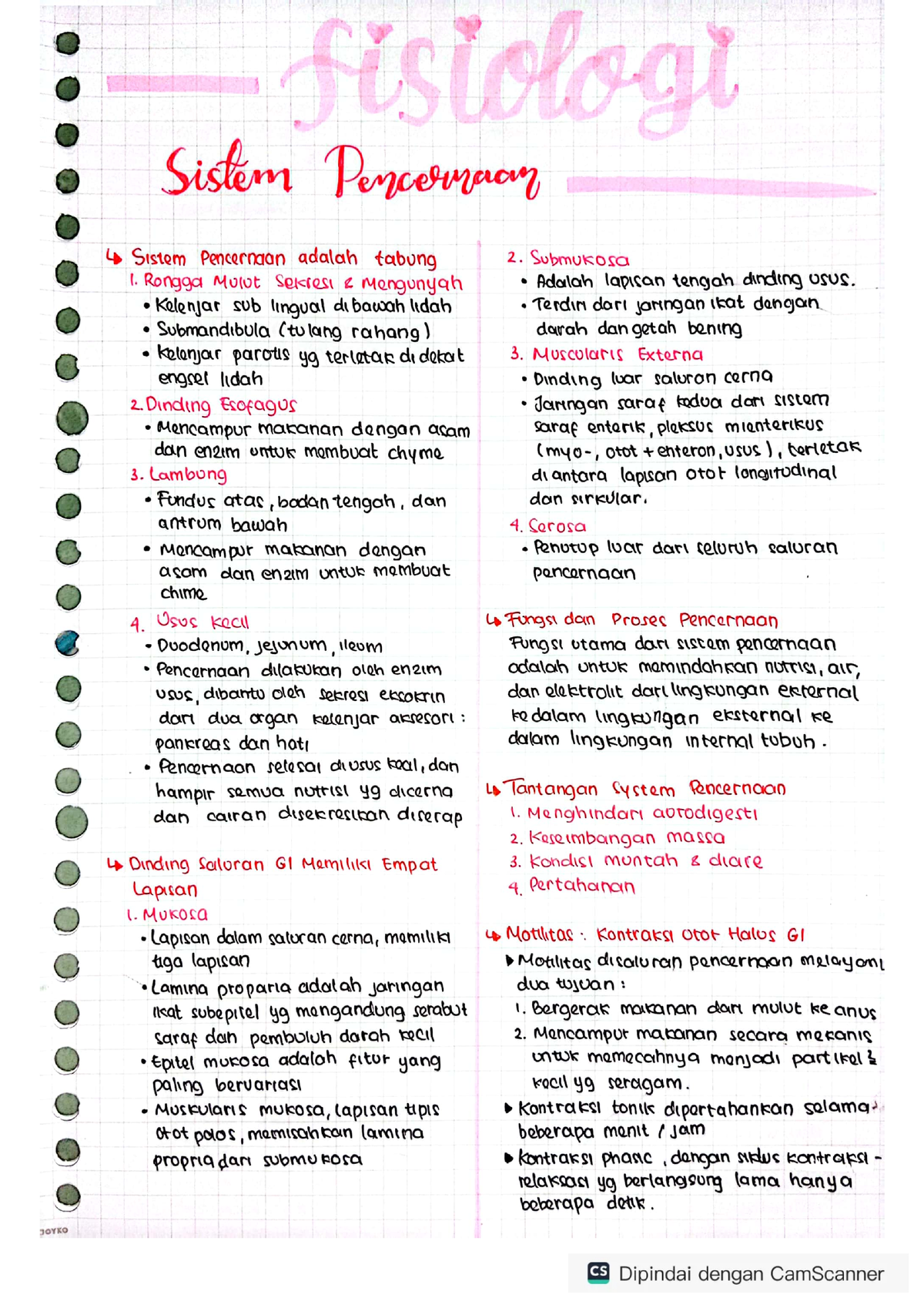 Fisiologi Sistem Pencernaan - Anatomi Dan Fisiologi Manusia - Studocu